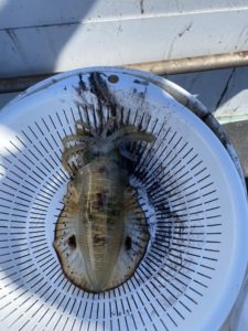 13129891-930A-47C1-A4FB-F7D8376B48D7