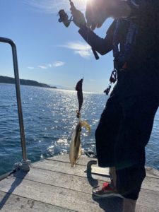 842B2F73-C8B7-474D-B0A9-D459711E6953