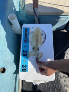 9A43C68C-EC01-4702-9A05-F79BC4BE4FBD