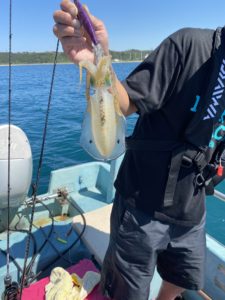 ABC1C59F-E054-4AA1-830C-622E90553C52