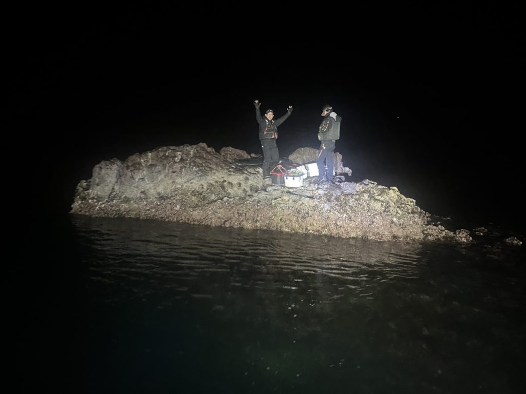 🏝渡船釣果(26/3/29)